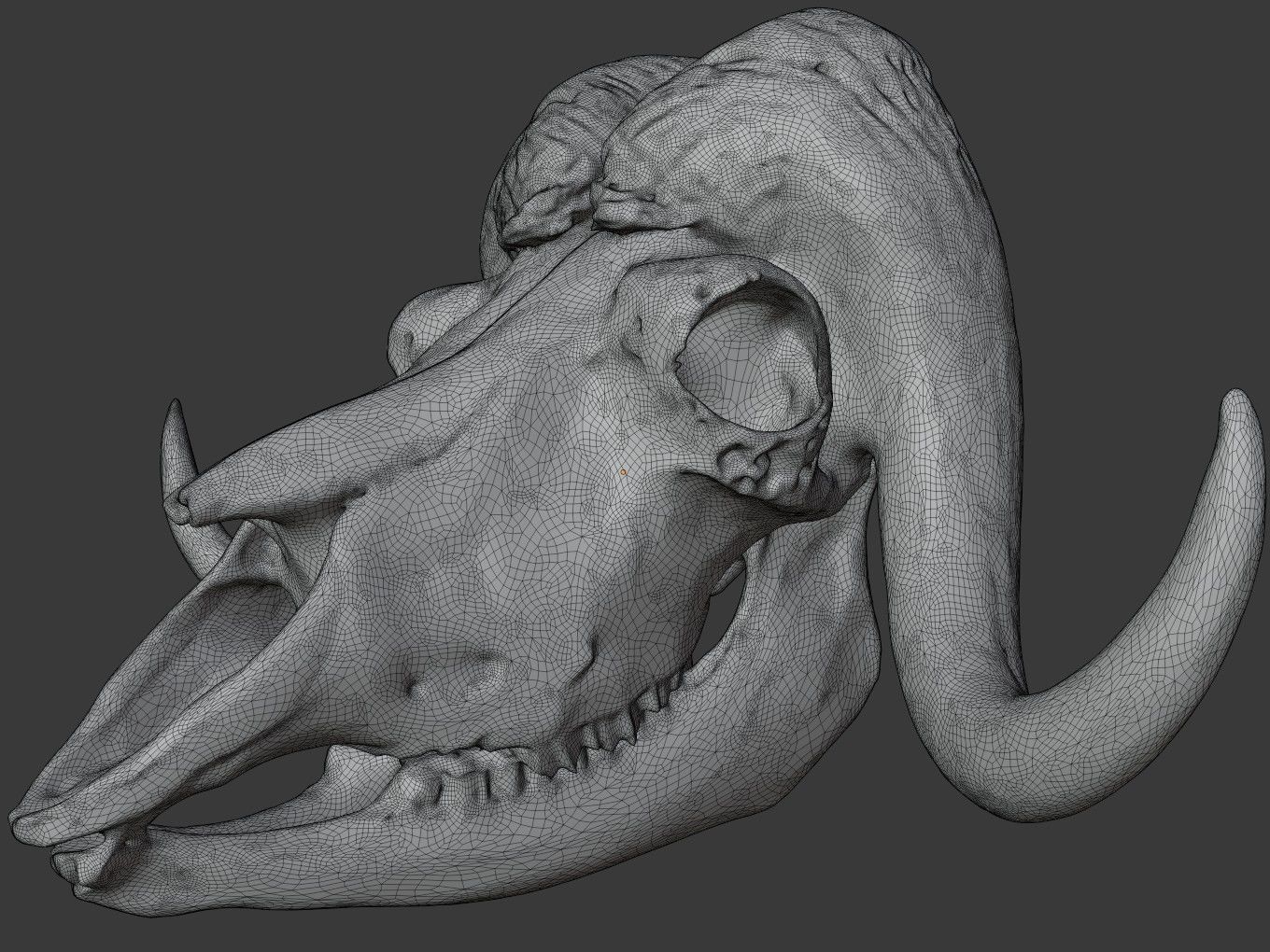 Cranium Charm Muskox Silver 3D print model_13