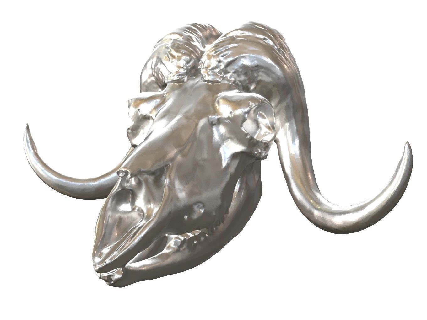Cranium Charm Muskox Silver 3D print model_2