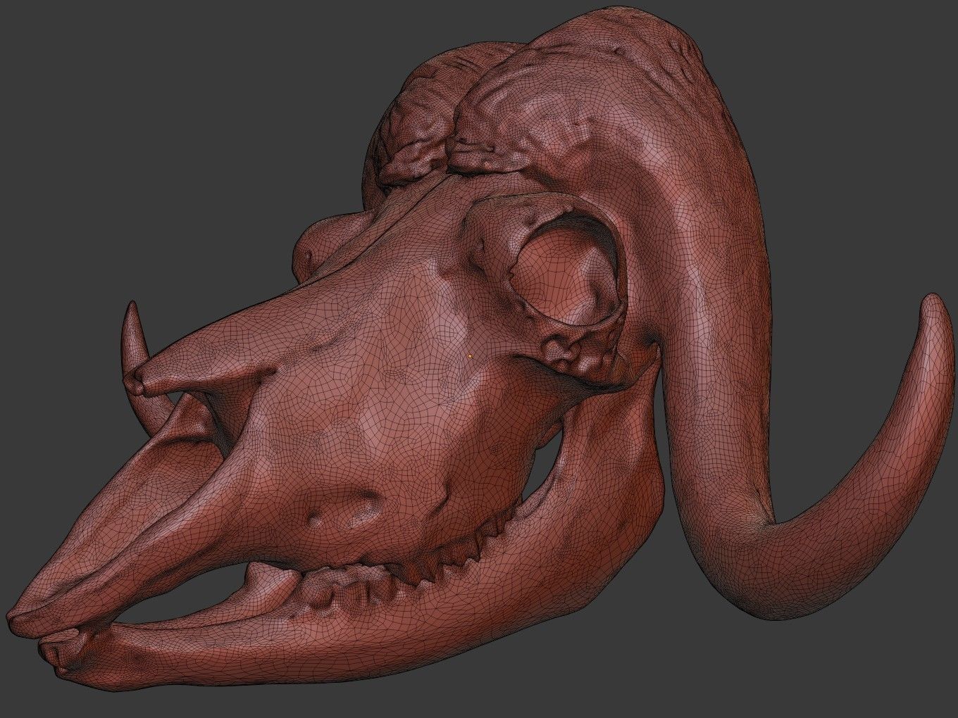 Cranium Charm Muskox Silver 3D print model_14