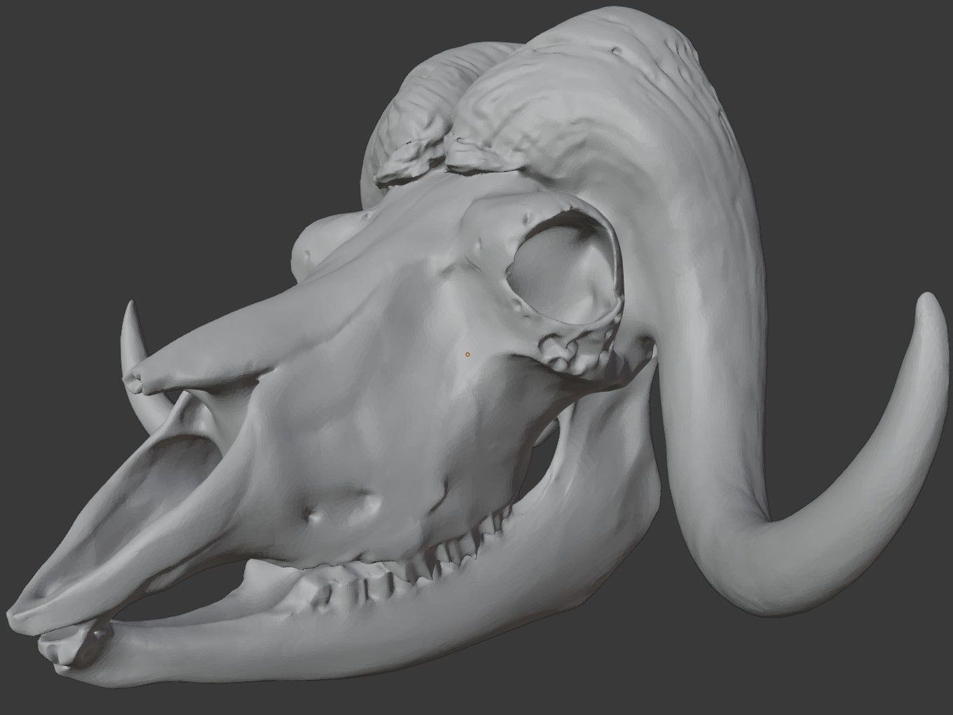 Cranium Charm Muskox Silver 3D print model_12