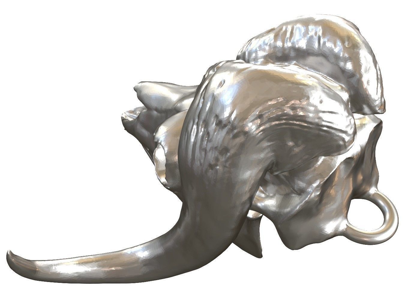 Cranium Charm Muskox Silver 3D print model_4