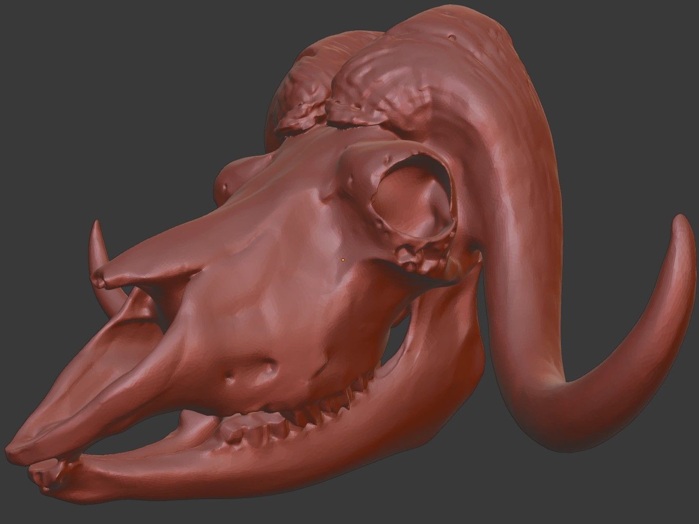 Cranium Charm Muskox Silver 3D print model_15