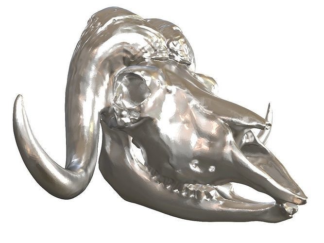 Cranium Charm Muskox Silver 3D print model
