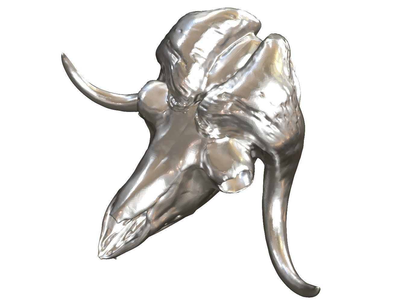 Cranium Charm Muskox Silver 3D print model_10