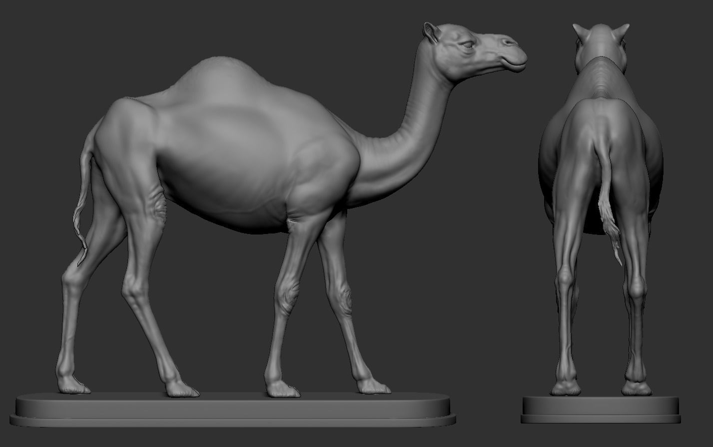 Camel statue of 3D print model_12