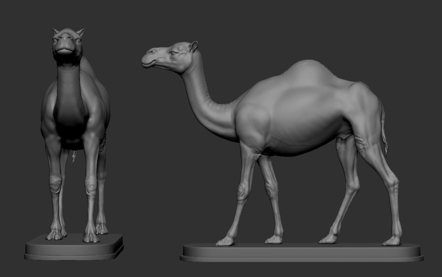 Camel statue of 3D print model_14