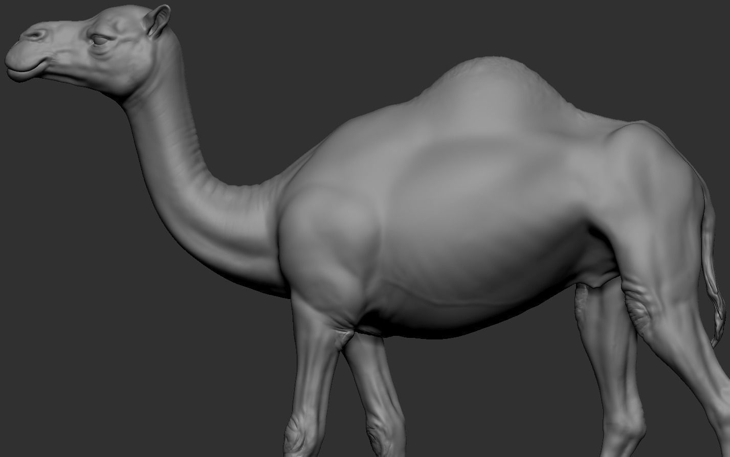 Camel statue of 3D print model_11