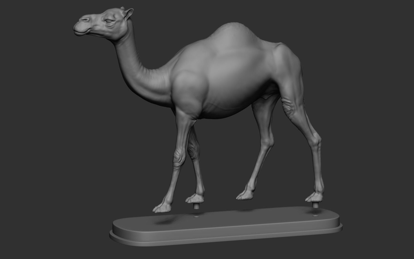Camel statue of 3D print model_15