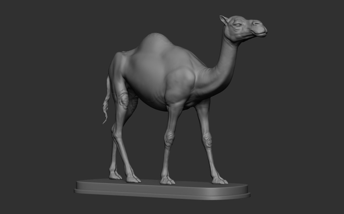 Camel statue of 3D print model_10