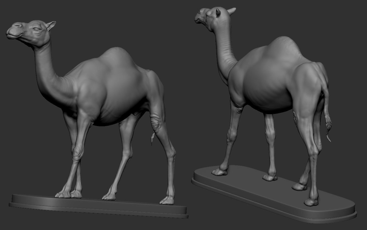Camel statue of 3D print model_13