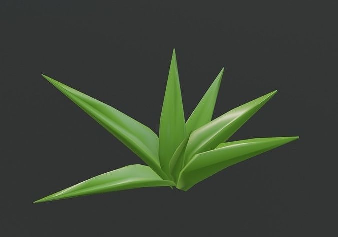 Low Poly Simple Plant Low-poly 3D model
