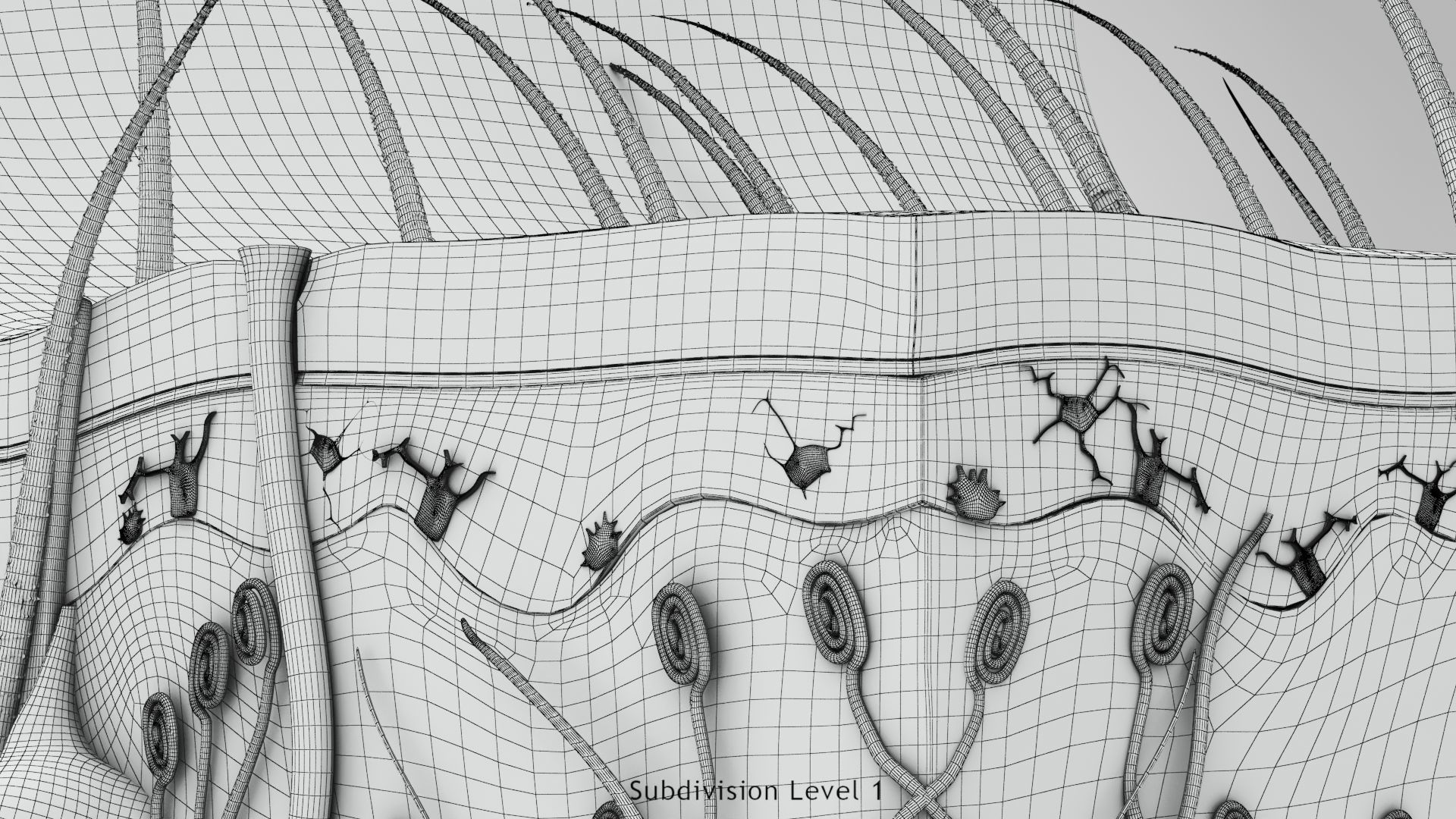 Skin Anatomy 3D model_25