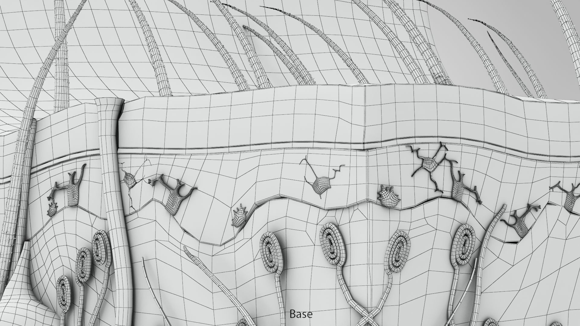 Skin Anatomy 3D model_24