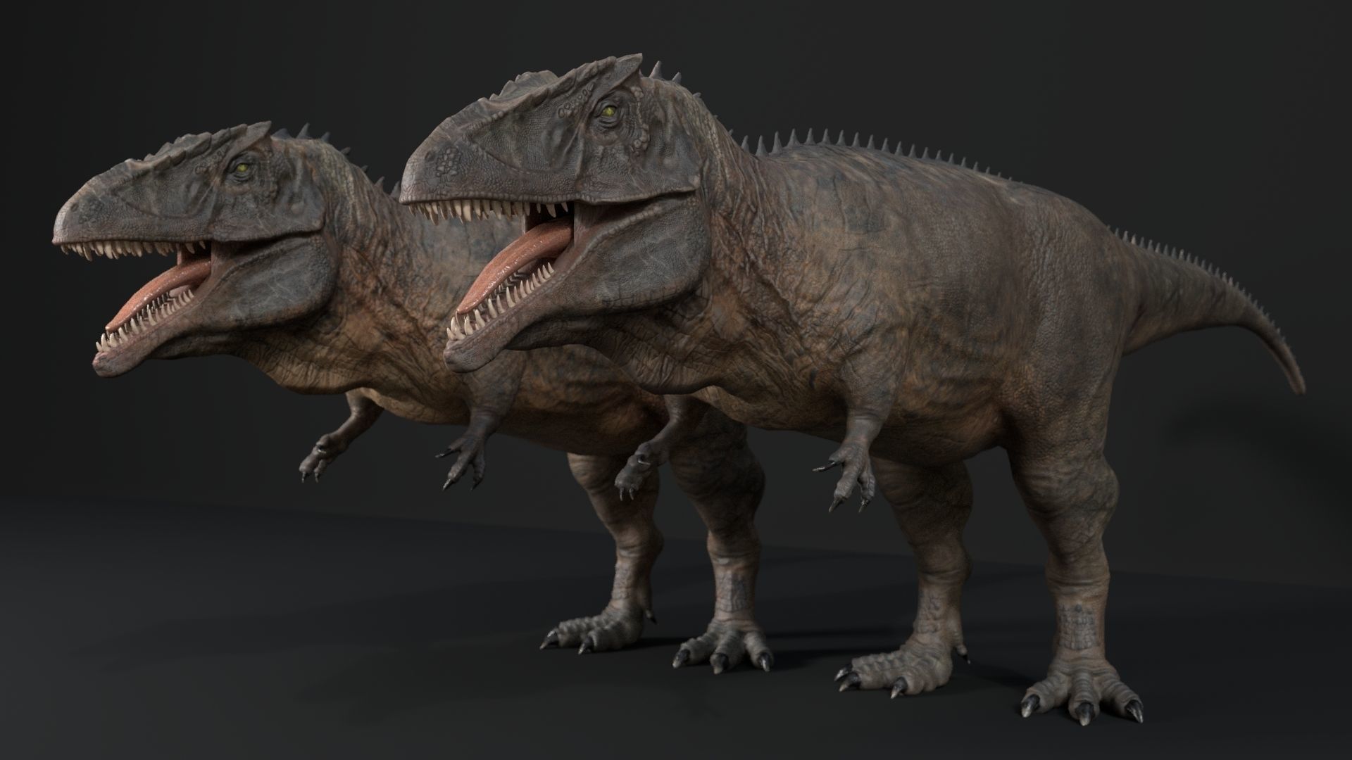 Dinosaur Hybrid Giganotosaurus PBR UE - Unity Low-poly 3D model_15