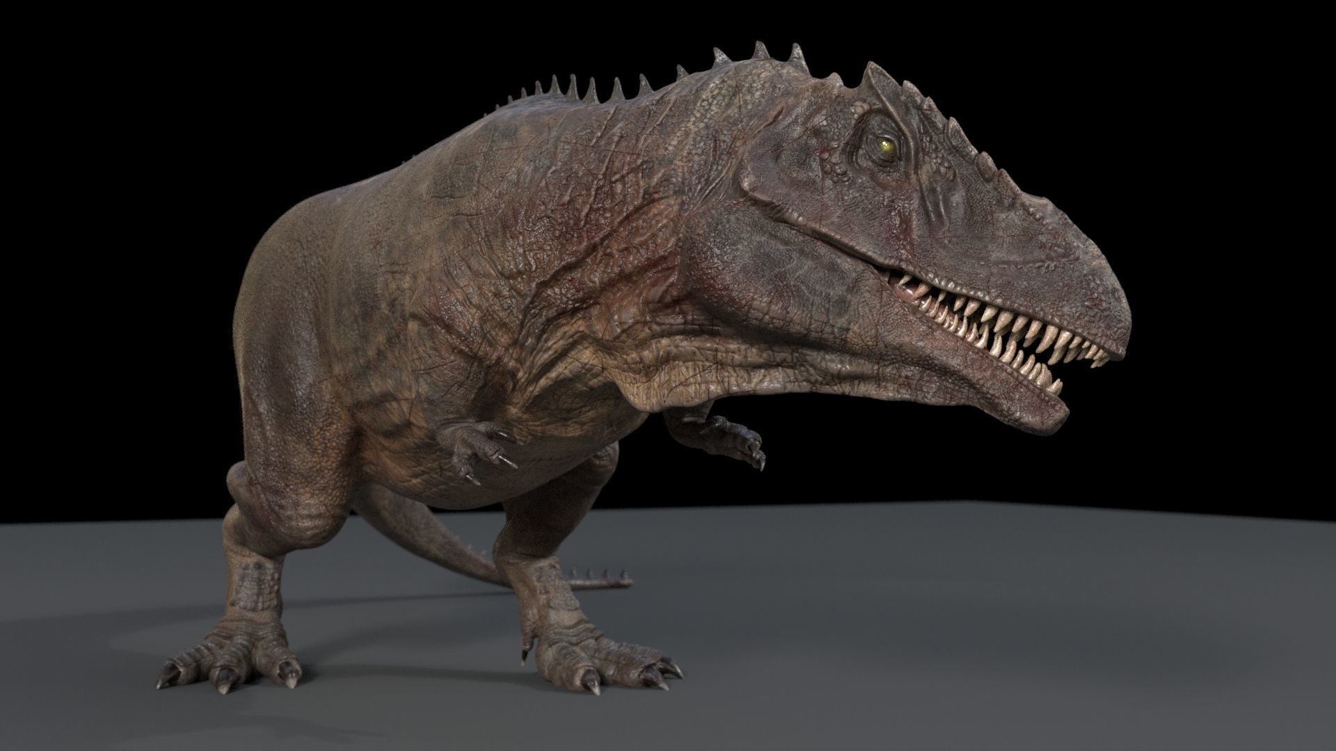 Dinosaur Hybrid Giganotosaurus PBR UE - Unity Low-poly 3D model_19