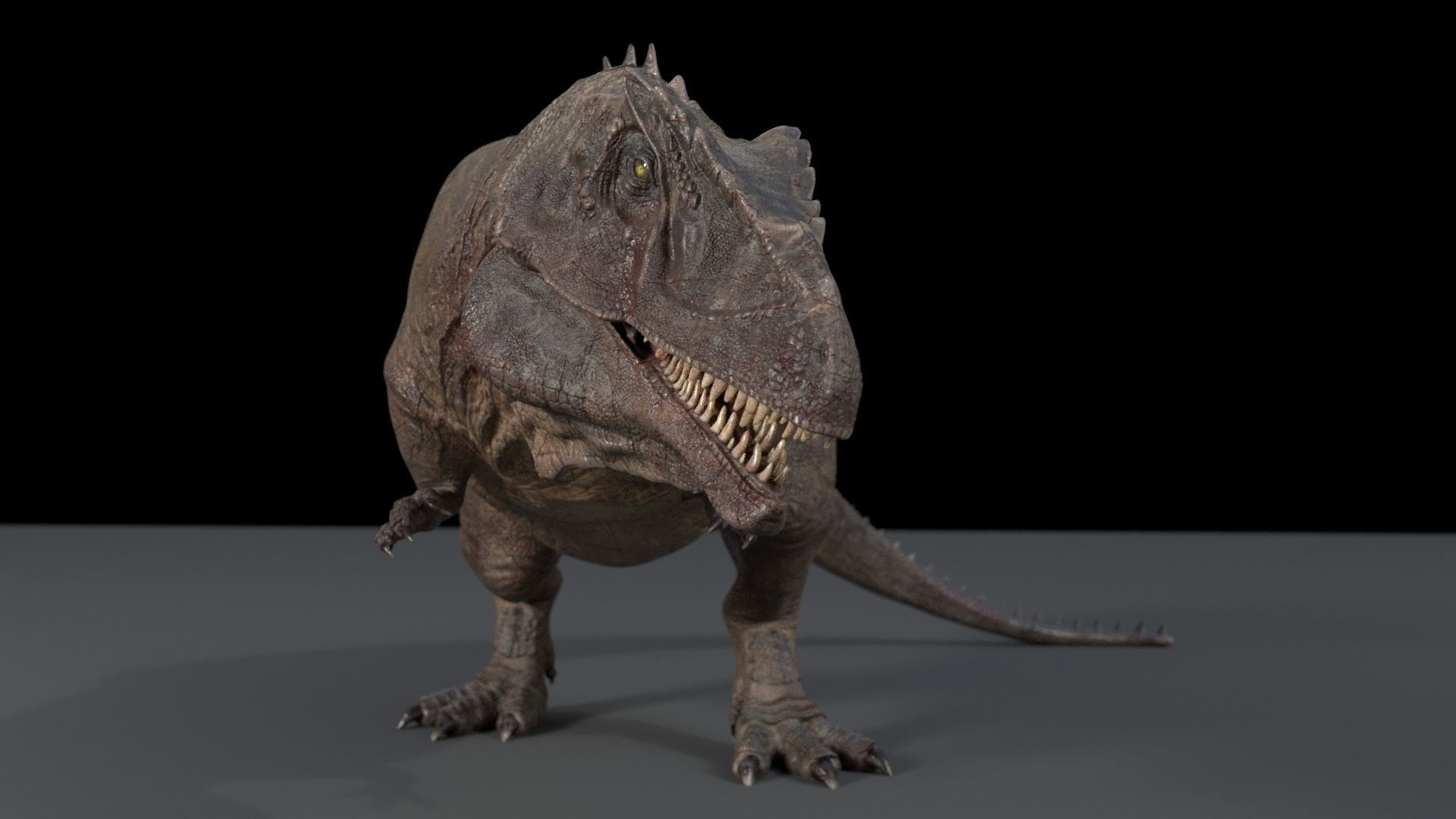 Dinosaur Hybrid Giganotosaurus PBR UE - Unity Low-poly 3D model_17