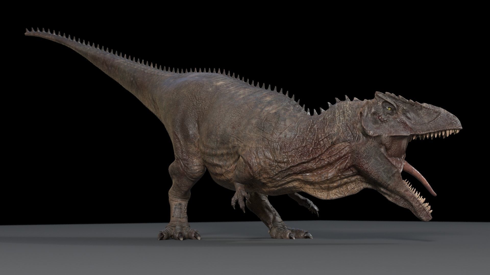 Dinosaur Hybrid Giganotosaurus PBR UE - Unity Low-poly 3D model_16