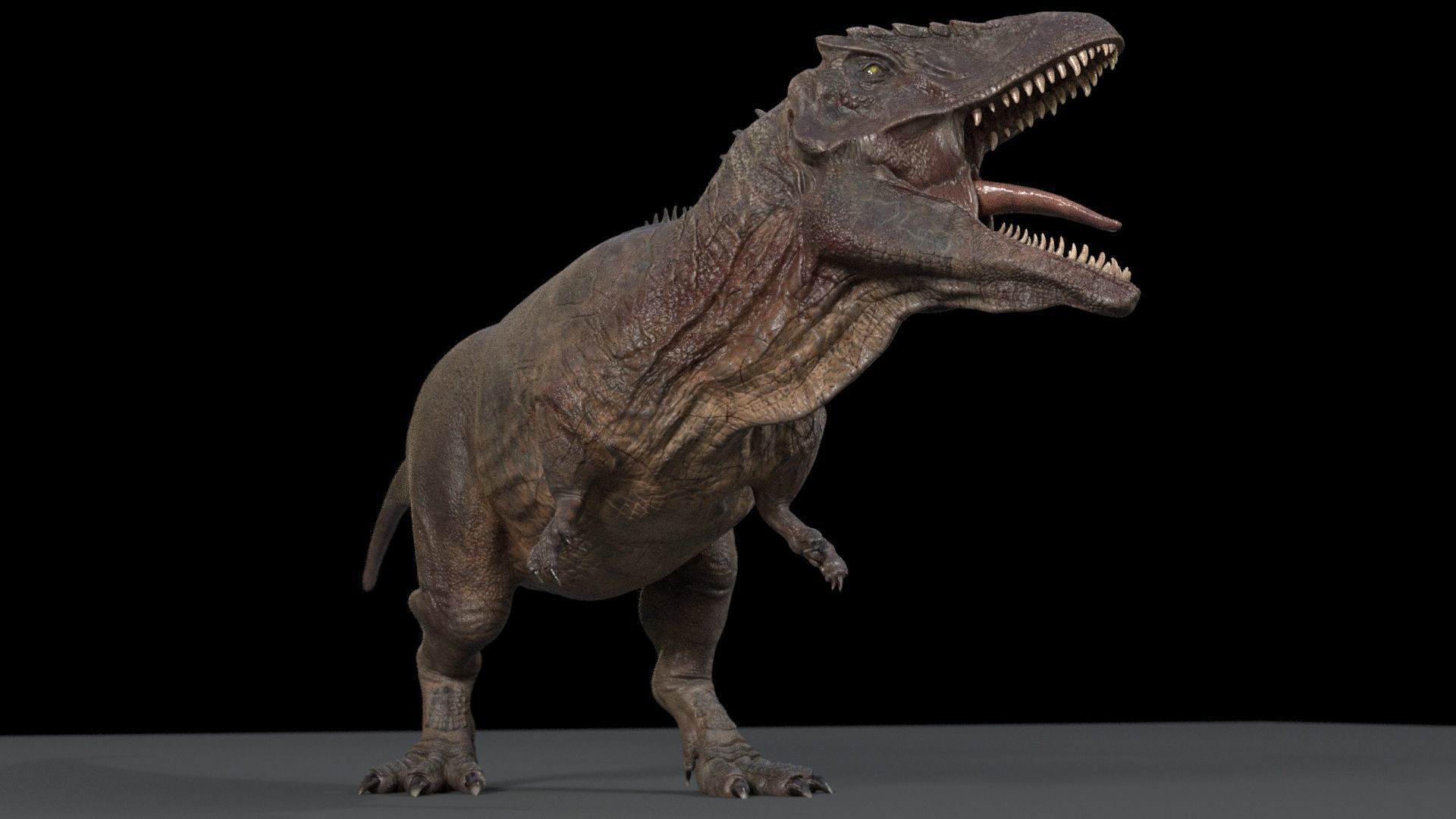 Dinosaur Hybrid Giganotosaurus PBR UE - Unity Low-poly 3D model_12