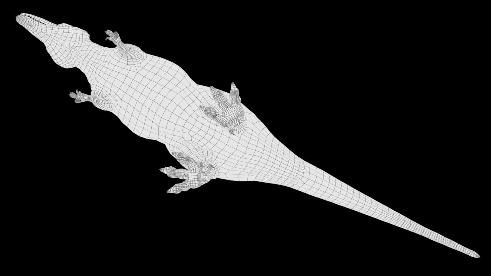 Dinosaur Hybrid Giganotosaurus PBR UE - Unity Low-poly 3D model_22