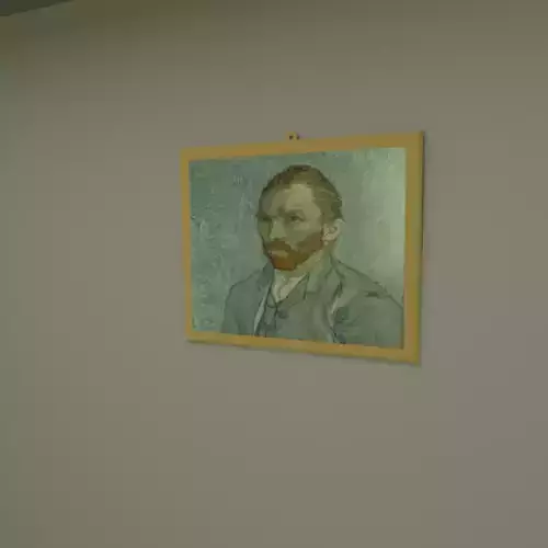Van gogh wall frame