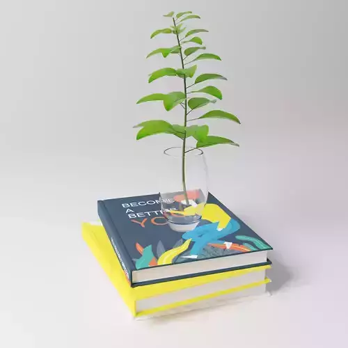 Books with plant in glass