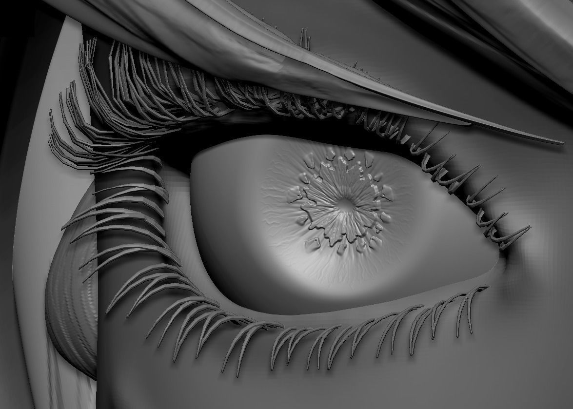 Female Eyes Eyeballs Eyelashes 3D model_1
