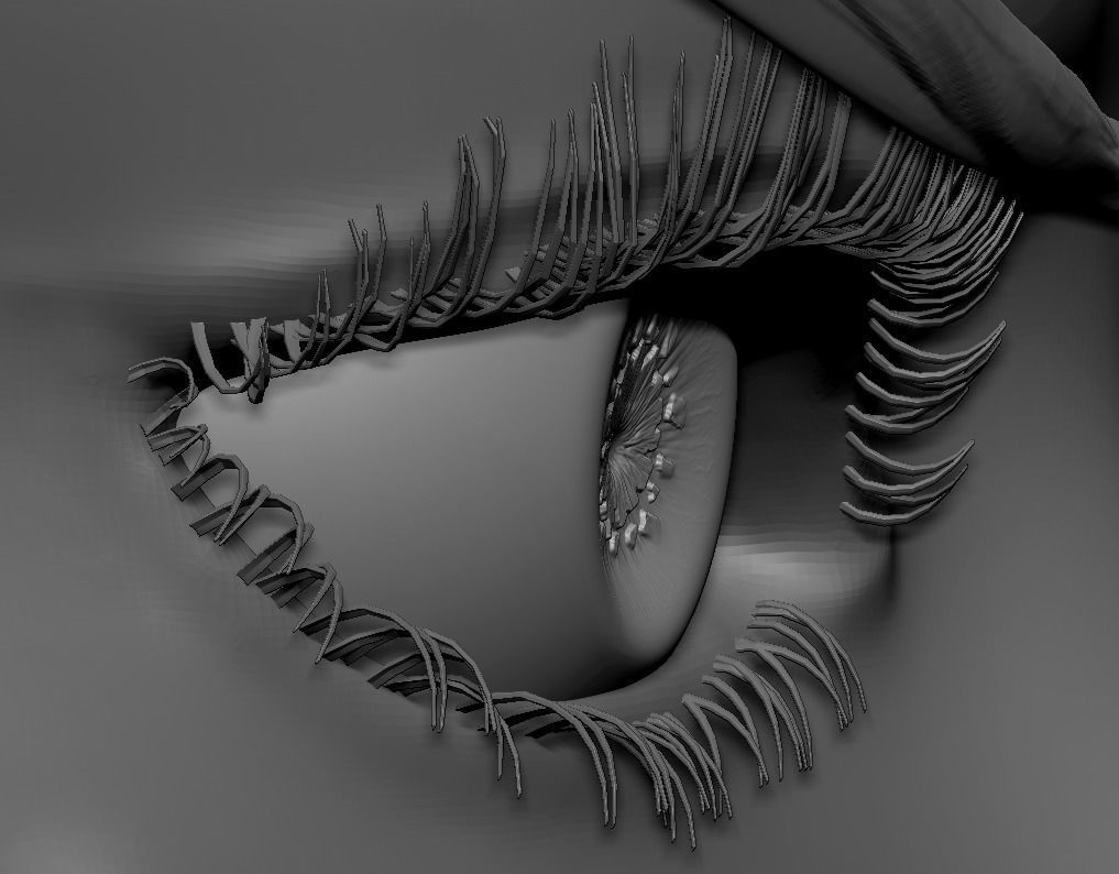 Female Eyes Eyeballs Eyelashes 3D model_9