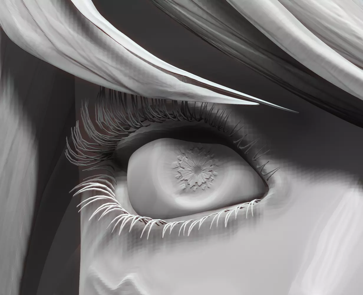 Female Eyes Eyeballs Eyelashes 3D model_0
