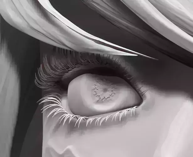Female Eyes Eyeballs Eyelashes 3D model