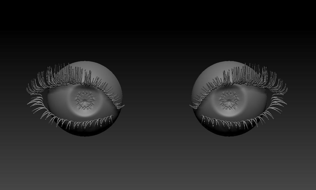 Female Eyes Eyeballs Eyelashes 3D model_11