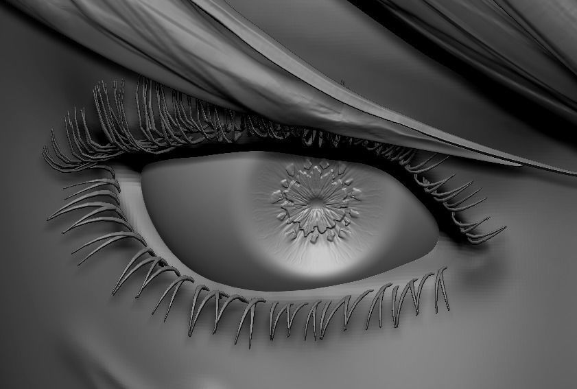 Female Eyes Eyeballs Eyelashes 3D model_10