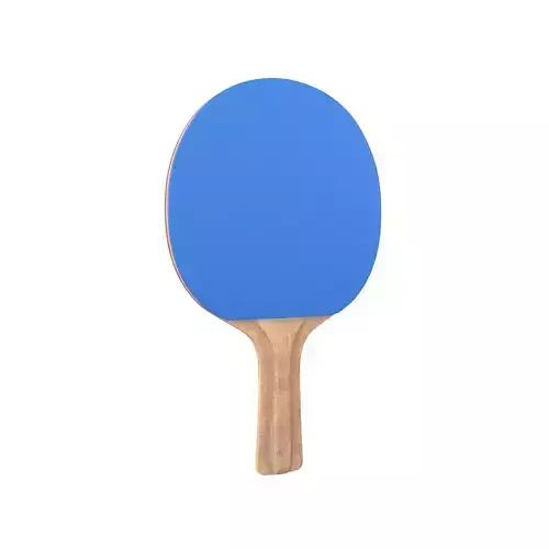 Ping Pong Paddle v1 002