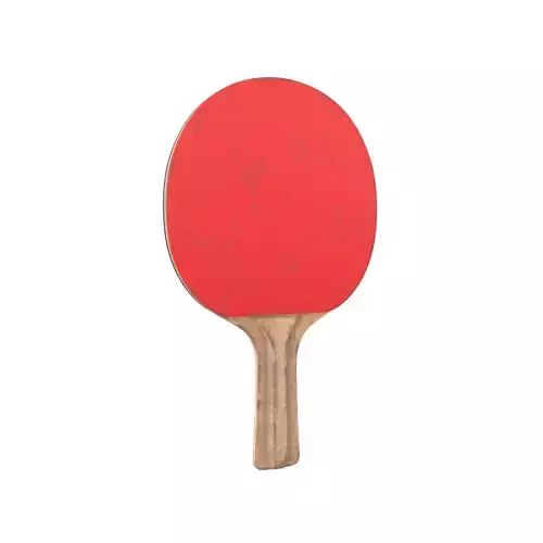 Ping Pong Paddle v1 003
