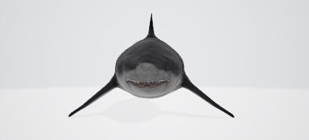 Megalodon great shark 3D model_1