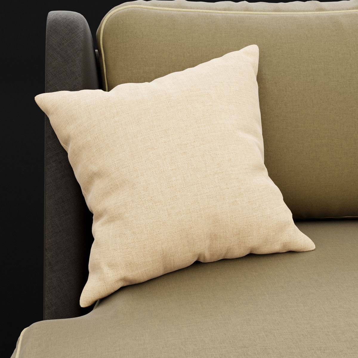 Sofa whith pillow 3D model_22