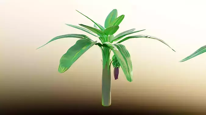 banana tree Free 3D model