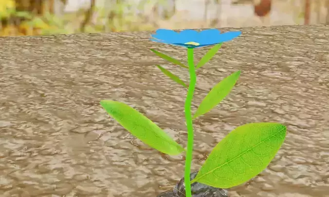 plant with flower and a HDR