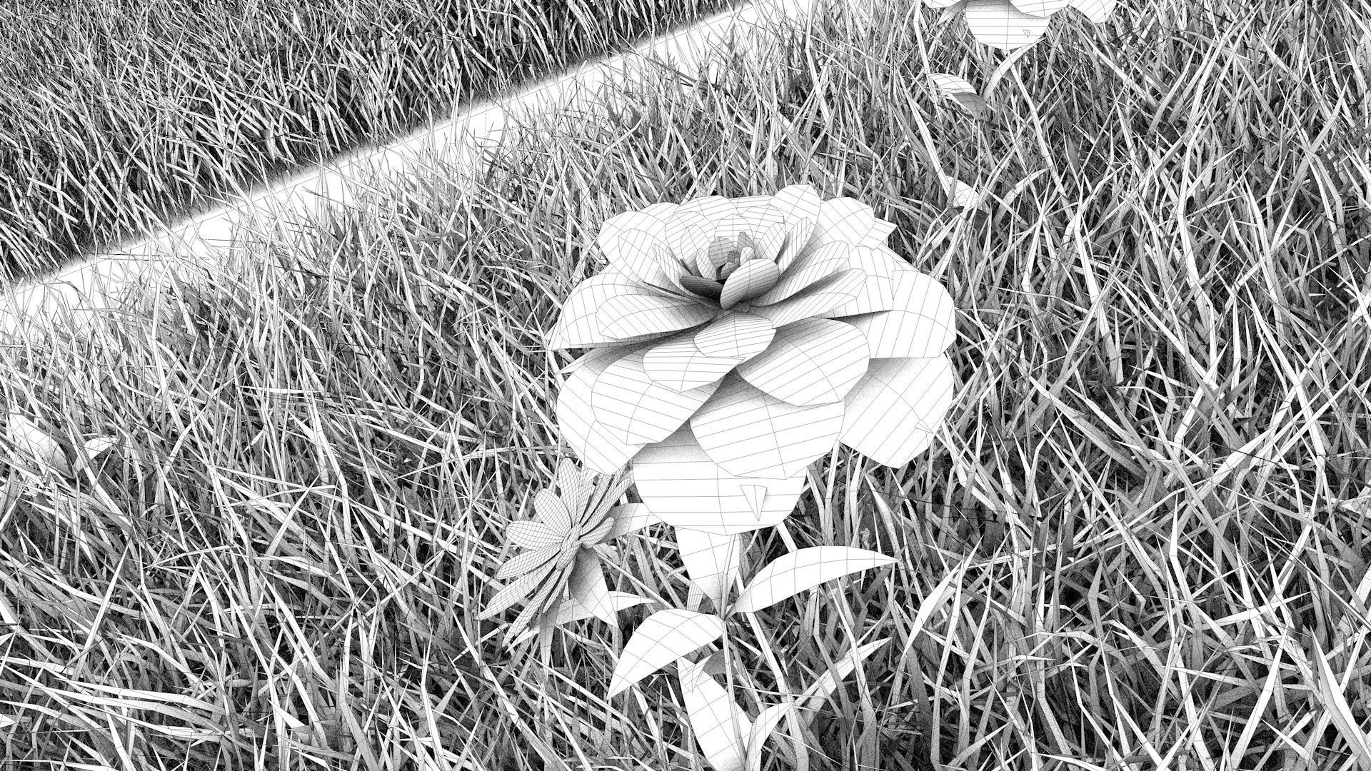 Grass Collection five squares 3D model_21