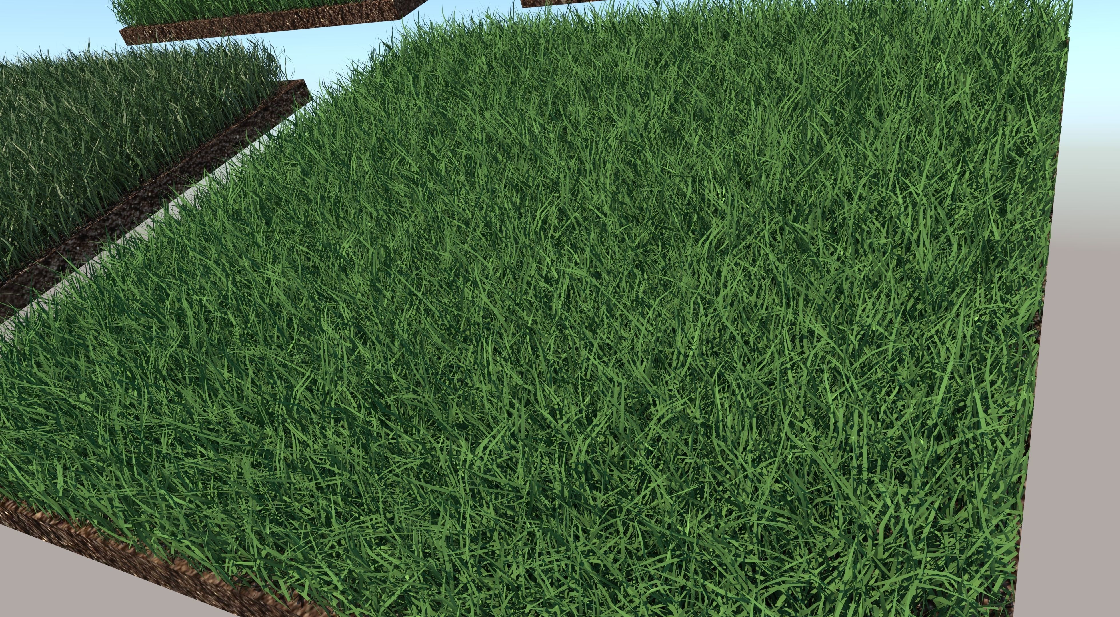Grass Collection five squares 3D model_8