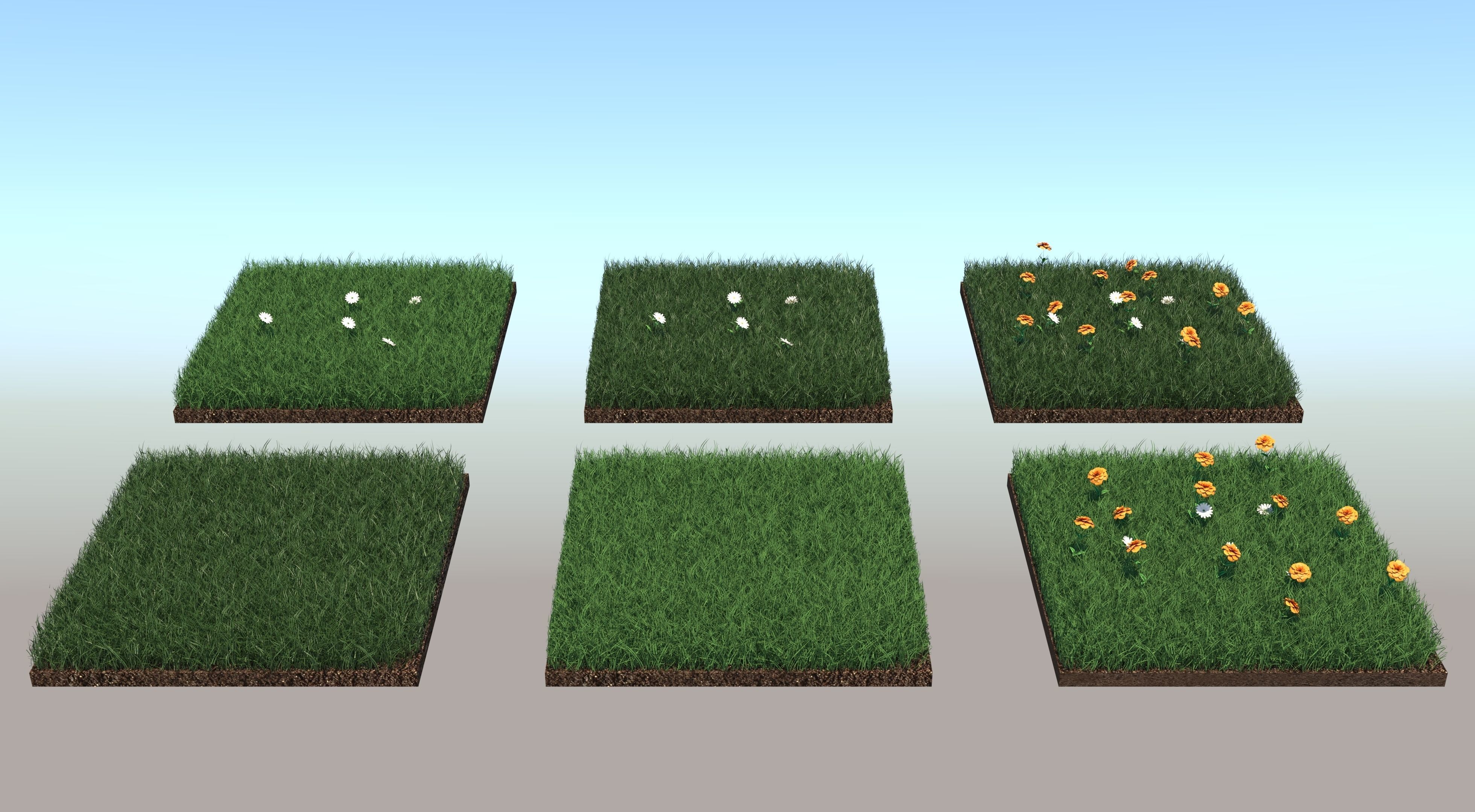 Grass Collection five squares 3D model_1