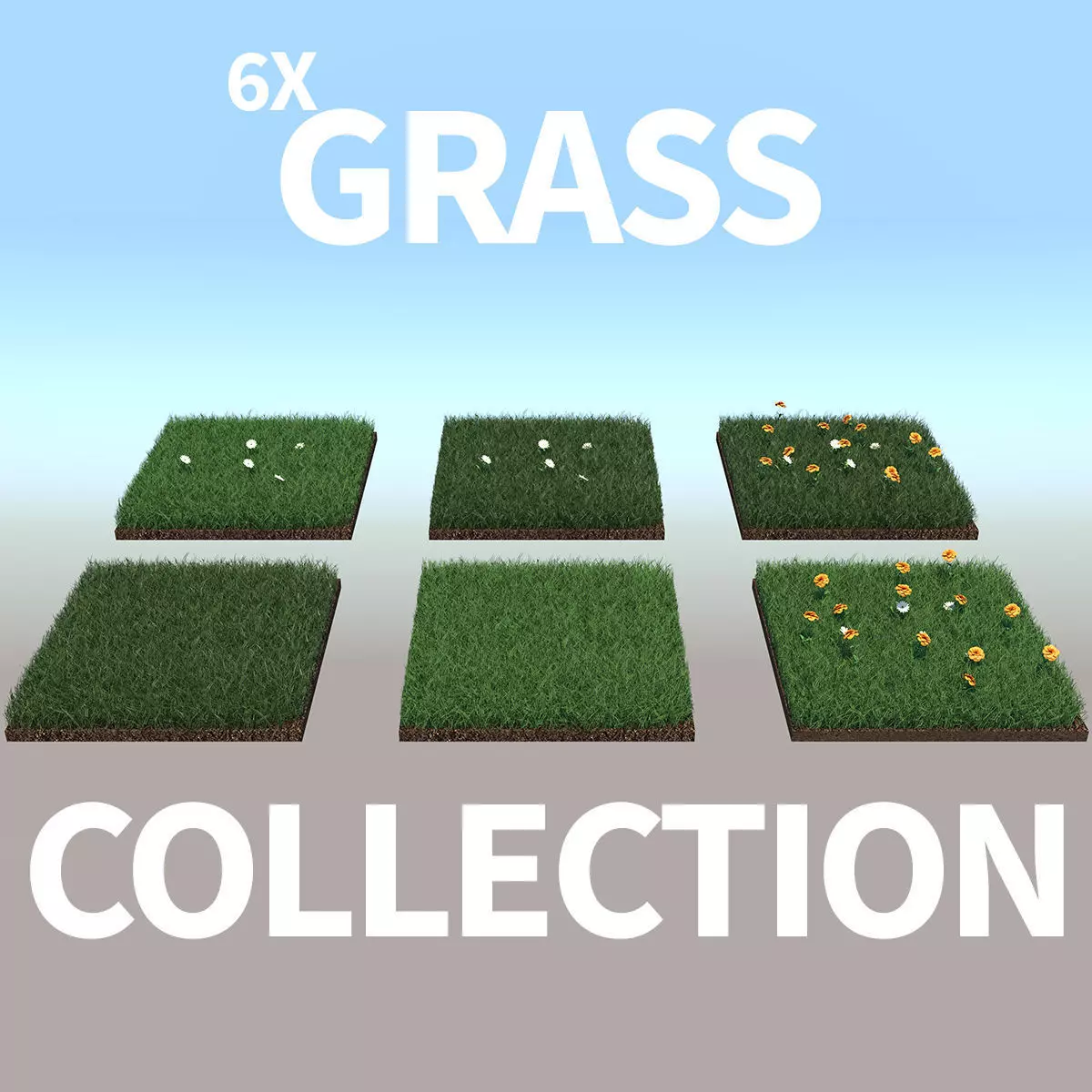 Grass Collection five squares 3D model_0