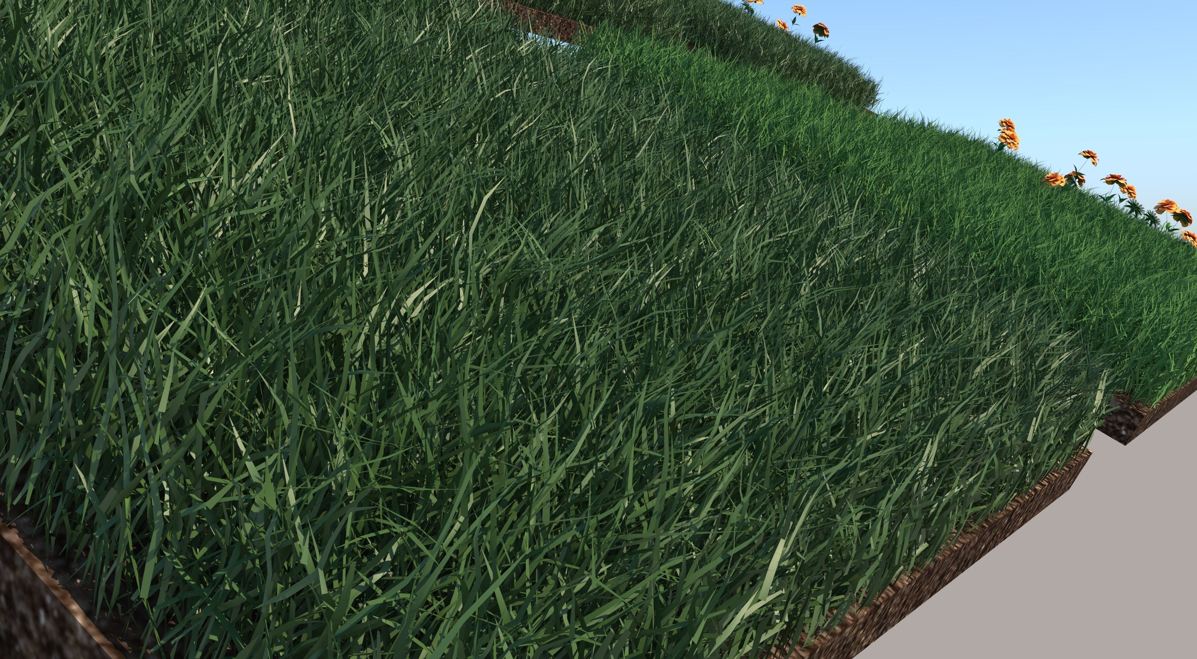 Grass Collection five squares 3D model_17