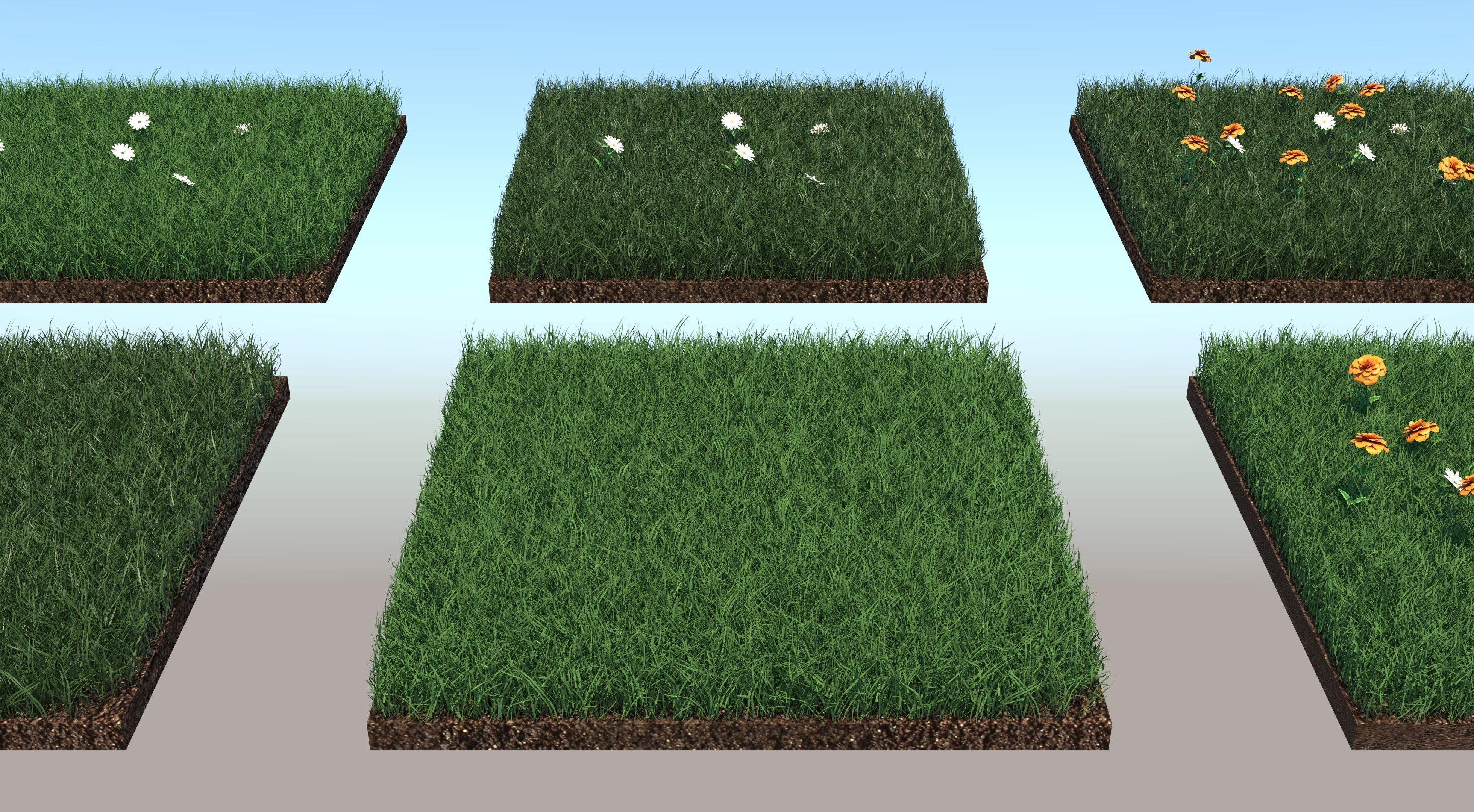 Grass Collection five squares 3D model_3