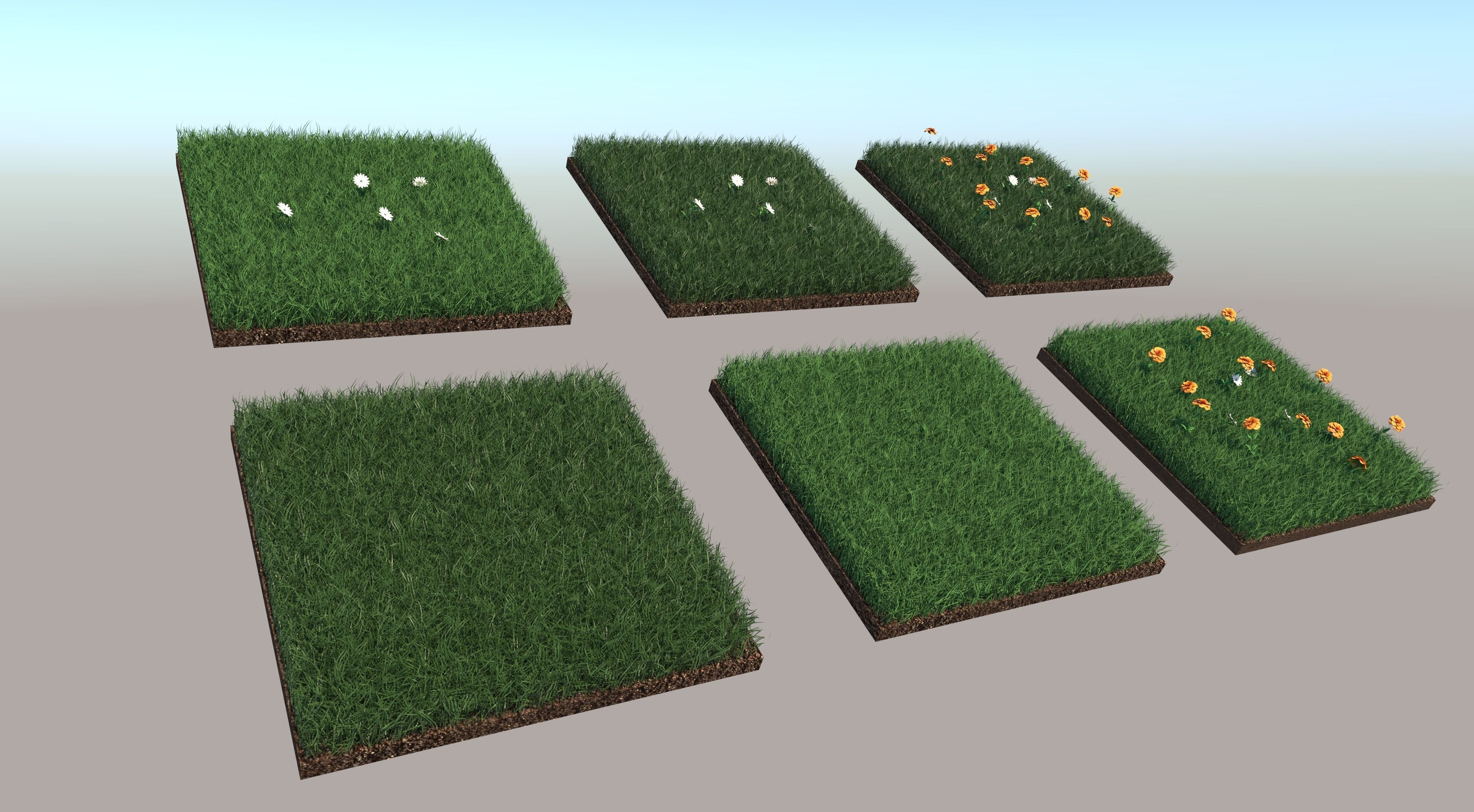 Grass Collection five squares 3D model_5
