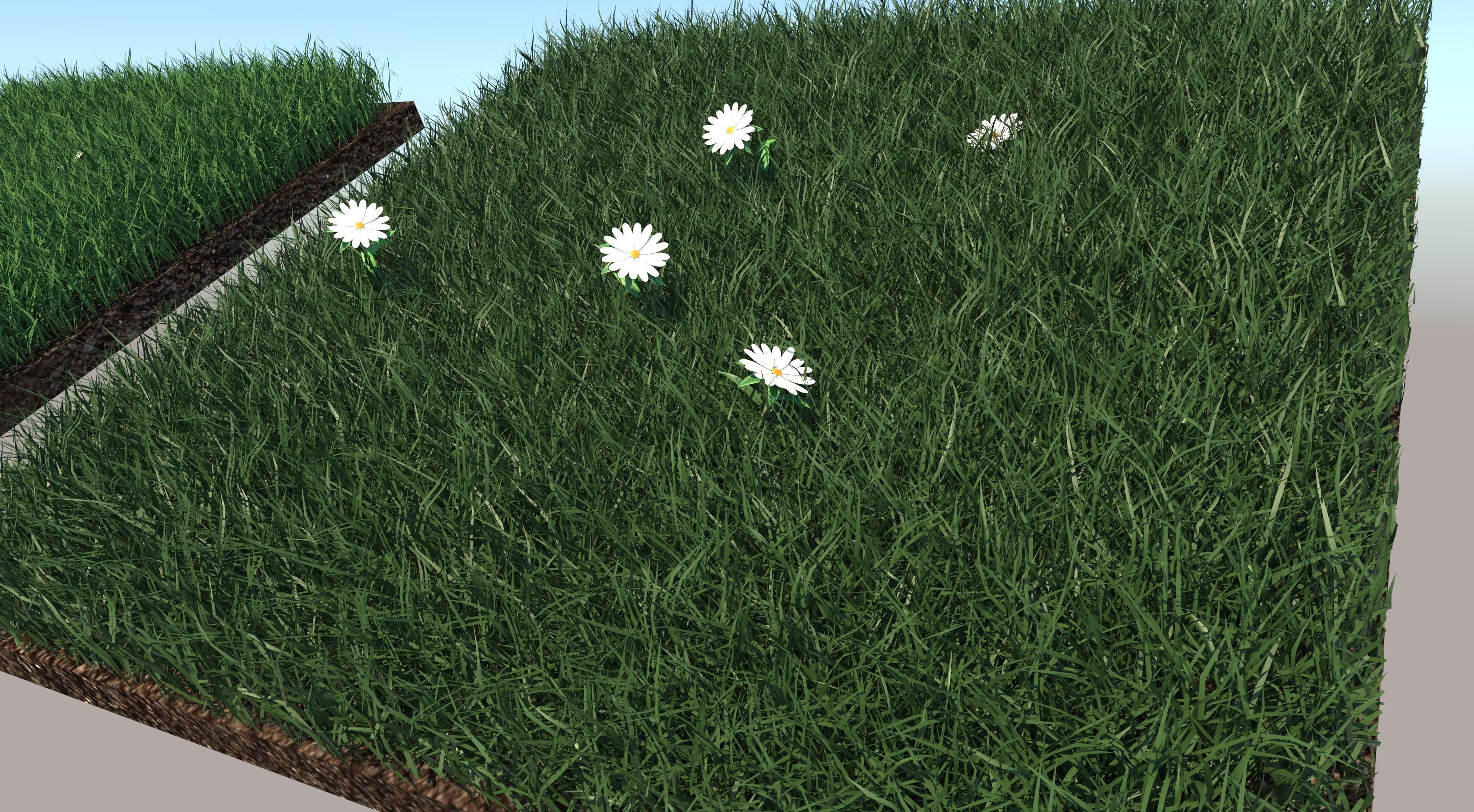 Grass Collection five squares 3D model_9