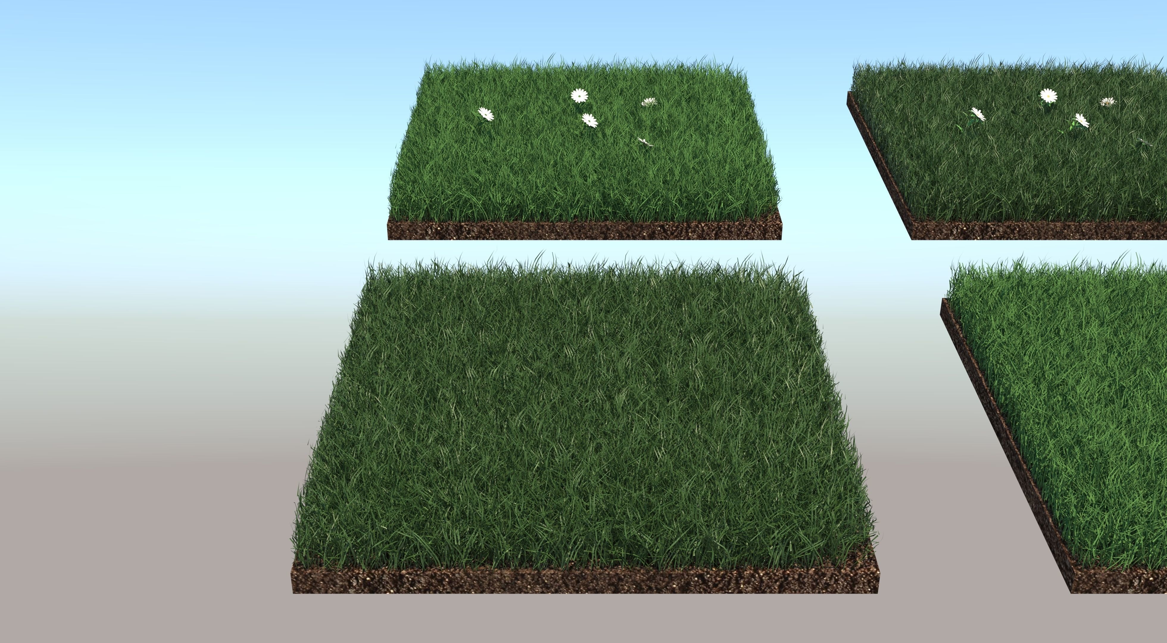 Grass Collection five squares 3D model_4