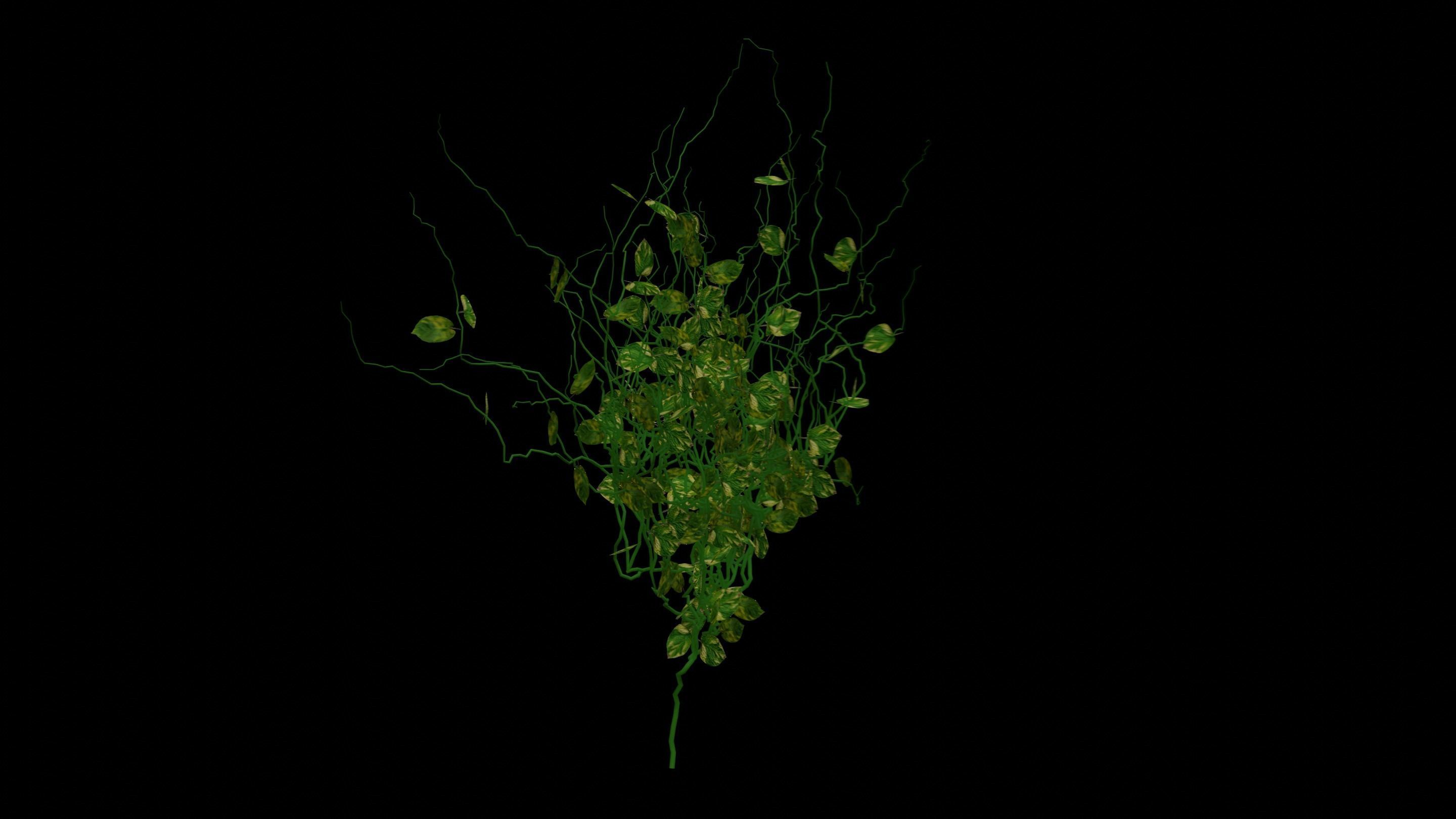 Green Ivy Free low-poly 3D model_2