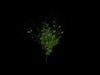 Green Ivy Free low-poly 3D model_1