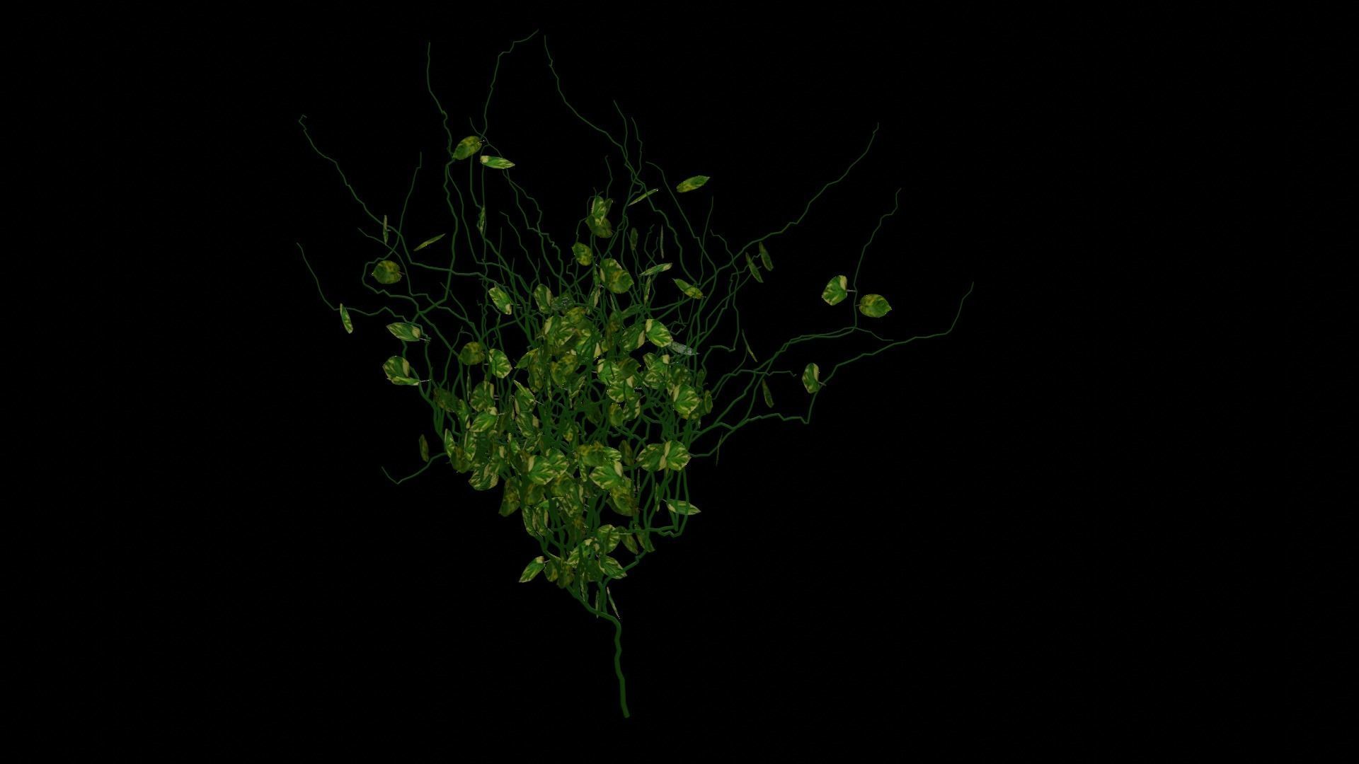 Green Ivy Free low-poly 3D model_4