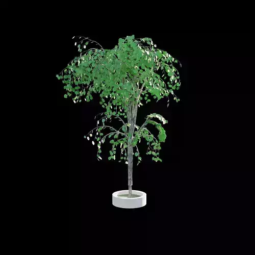 Tree 1 birch Low-poly 3D model